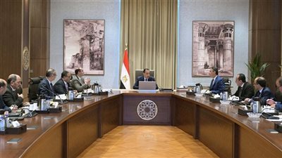 الحكومة توافق على معاملة خاصة لمركبات مشروع تحيا مصر لتشغيل الشباب (تفاصيل)