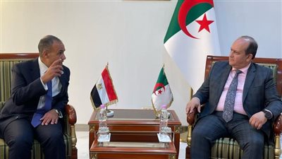 وزير الخارجية والهجرة يلتقي بوزير الصناعة والإنتاج الصيدلاني الجزائري