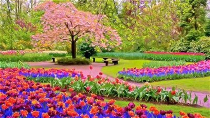 معرض ظهور الربيع 
