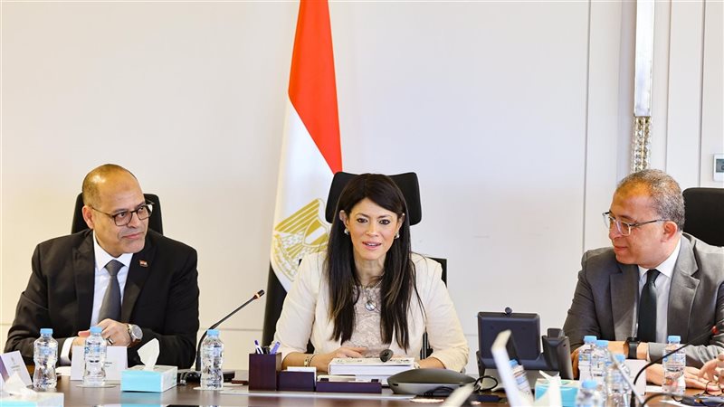 وزيرة التخطيط