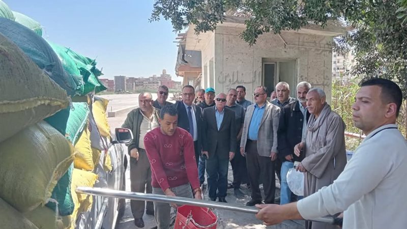 جانب من الفعاليات