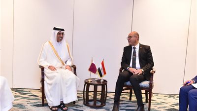 وزير العمل: تجربة الربط الإلكتروني مع بعض البلدان العربية نموذج يُحتذى به