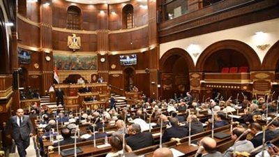 مجلس الشيوخ يحيل غدا عدد من تقارير اللجان النوعية إلى الحكومة