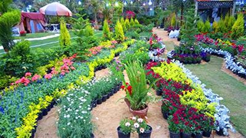 معرض ظهور الربيع 