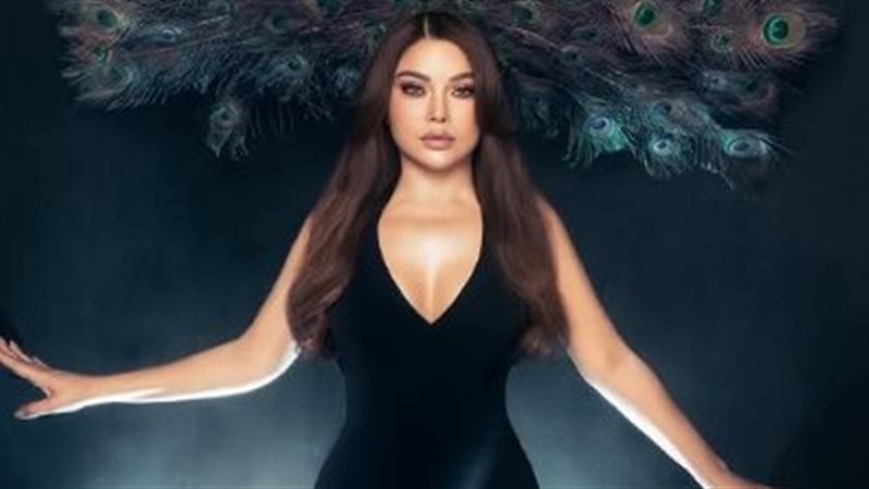 الفنانة هيفاء وهبي