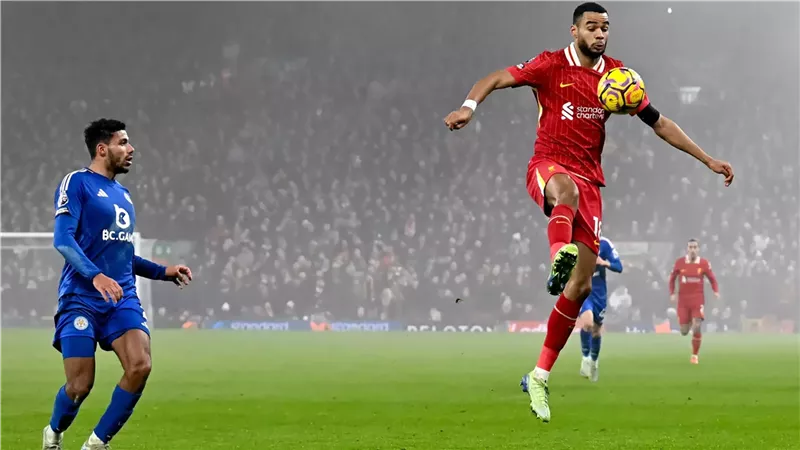 ليفربول وليستر سيتي