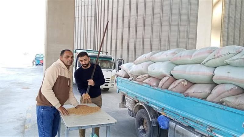 صورة توضيحية 