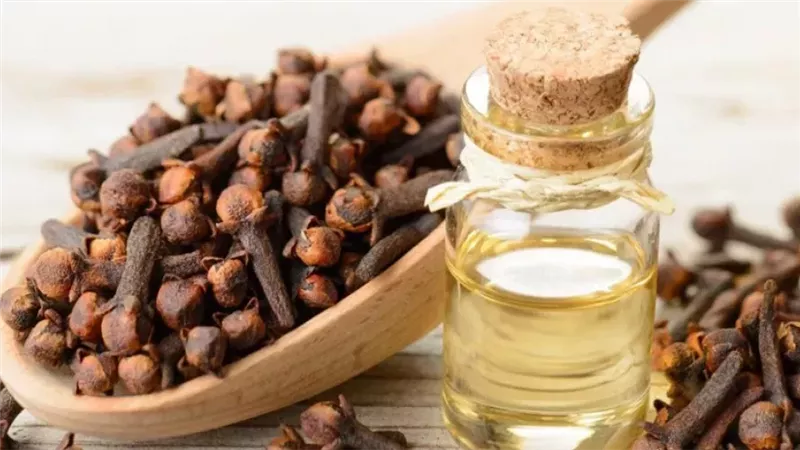 فوائد زيت القرنفل 