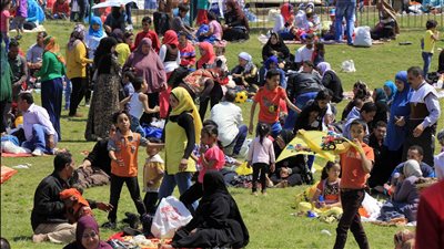 هل الاحتفال بشم النسيم حرام؟.. أمين الفتوى بدار الإفتاء المصرية يجيب