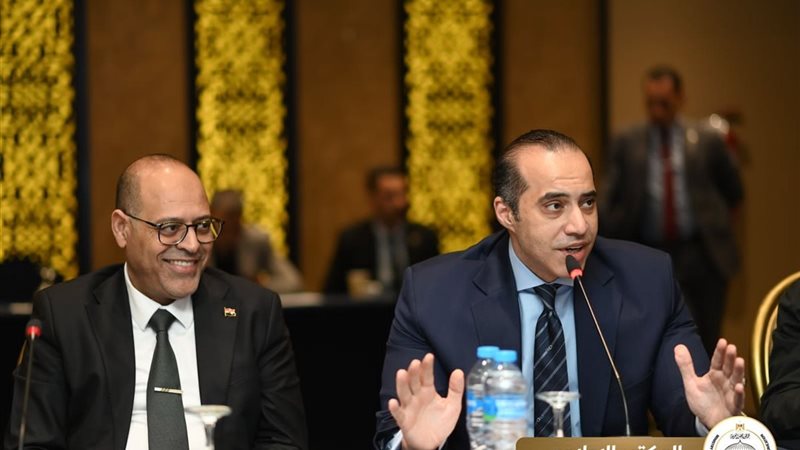 المستشار محمود فوزي ووزير العمل