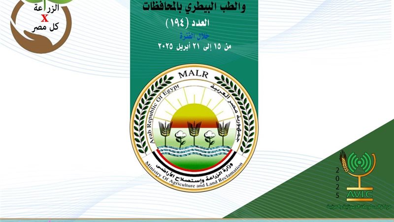 إنفوجراف 