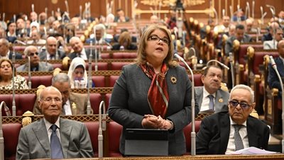وكيل الشيوخ: الأمن الغذائي قضية حيوية تزداد أهميتها وسط التوترات الجيوسياسية