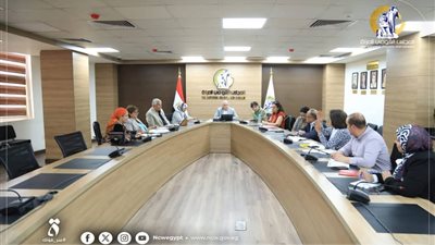 لجنة المنظمات الأهلية بالقومي للمرأة تبحث خططها المستقبلية خلال اجتماعها الدوري