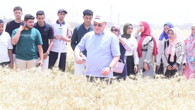 جامعة سوهاج 