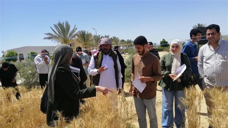 استصلاح الأراضي