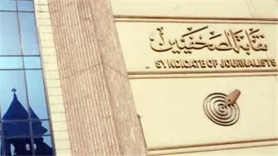 قبل انطلاق الانتخابات.. إشادة واسعة بمبادرات الصحفيين لخدمة زملائهم (فيديو)
