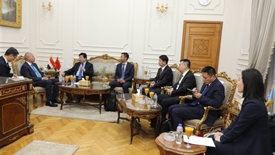 محافظ القاهرة يستقبل وفد مدينة بكين لتعزيز سبل التعاون المشترك 