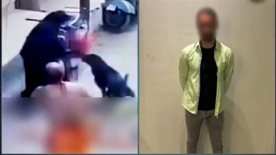 خطة شيطانية لبث الذعر.. الداخلية تطيح بمزور فيديو الهجوم بكلب في الغربية