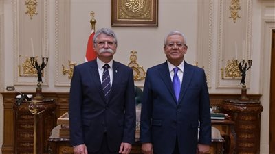 رئيس النواب يؤكد مع نظيره المجري ضرورة وقف إطلاق النار في غزة