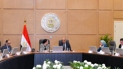 الكهرباء والبيئة يبحثان زيادة مساهمة الطاقات المتجددة في مزيج الطاقة المصري