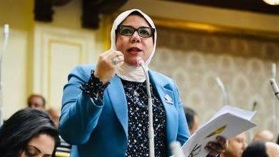 «النواب» والحكومة يد واحدة لتعظيم ثروات مصر التعدينية