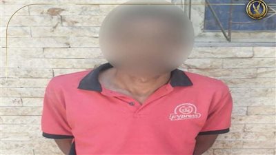 حاولت منعه من معاكستها.. القبض على عاطل تعدى على فتاة في البساتين
