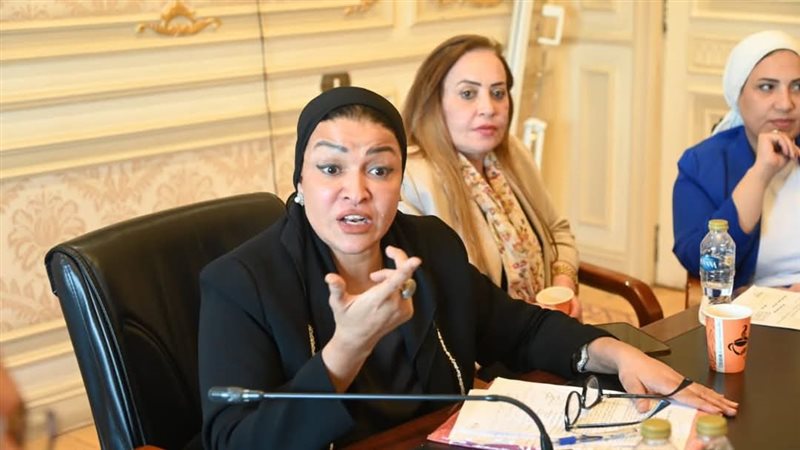النائبة ألفت المزلاوى