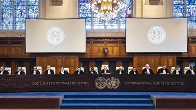 مستشار الخارجية: يجب استمرار اللجوء للعدل الدولية لتوثيق جرائم إسرائيل