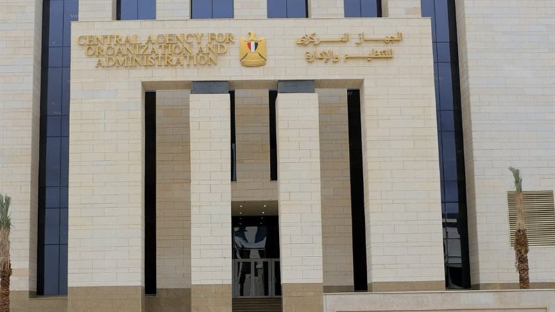 التنظيم والإدارة