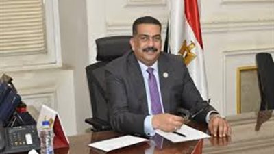 عضو بالشيوخ: عيد العمال مناسبة وطنية لها خصوصية لدى المصريين