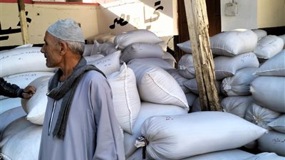 «الإصلاح الزراعي» يتابع حصاد القمح لدى المنتفعين وجهود إزالة التعديات على الأراضي