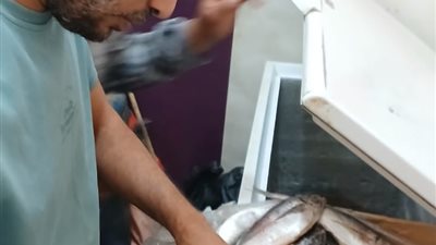 ضبط أكثر من 14 ألف كجم لحوم ودواجن وأسماك غير صالحة للاستهلاك الآدمي بالمنوفية