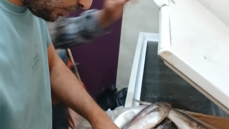 جانب من الحملات التفتيشية 