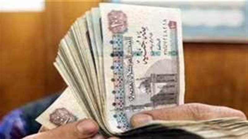 ارشيفية 