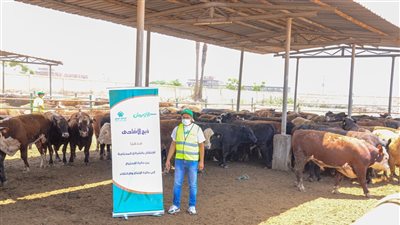 استعدادات مكثفة من جمعية الأورمان استقبالا لعيد الأضحى المبارك بالفيوم