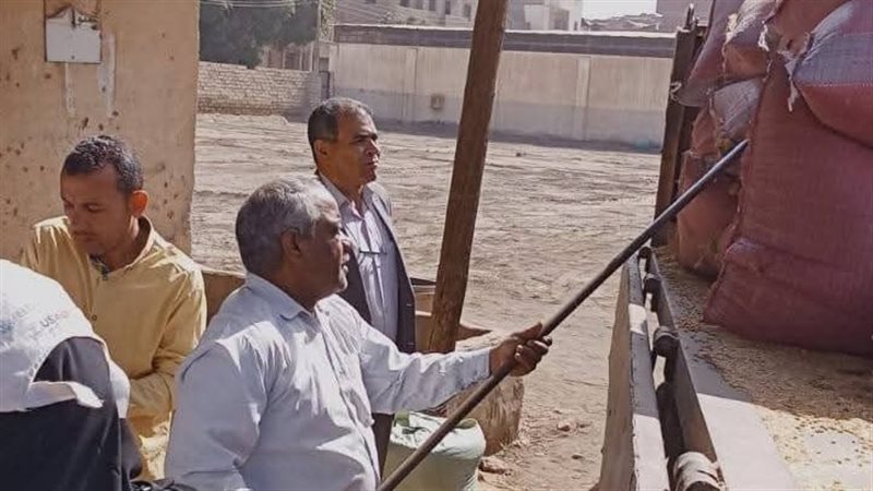توريد القمح بمحافظة المنيا