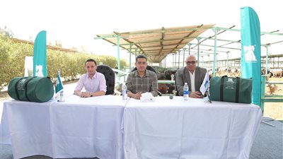 مصر الخير: قيمة الصك البلدي 10 آلاف جنيه.. ونستهدف الوصول لـ35 ألفا