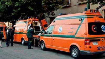 في جريمة مروعة بالمحلة.. زوج يقتل زوجته بـ