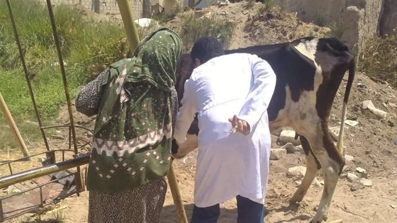 حملات بيطرية بالاسماعيلية