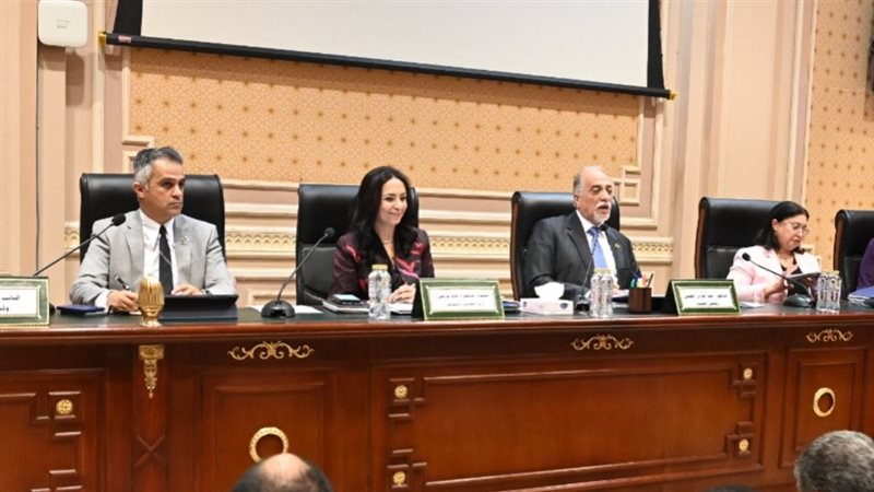وزيرة التضامن خلال اجتماع تضامن النواب