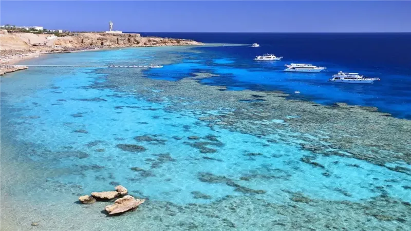 مطروح