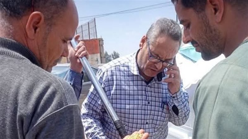 موسم الحصاد بالشرقية