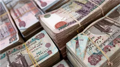 حصيلة مخدارت.. أمن الجيزة يكشف قضية غسل أموال عامة بقيمة 60 مليون جنيه 