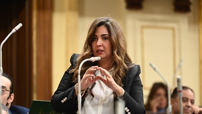 تأخر نشر بحث الدخل والإنفاق يثير مخاوف النواب من تأثيره على برامج الدعم