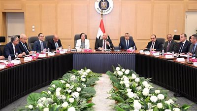 المجموعة الوزراية الصناعية تدرس منح الرخصة الذهبية لإنتاج «الصودا آش» بالعلمين