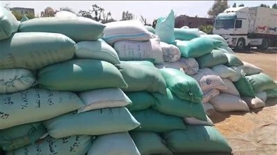 ضبط 50 طن قمح بمخزن حبوب غير مرخص بالباجور في المنوفية