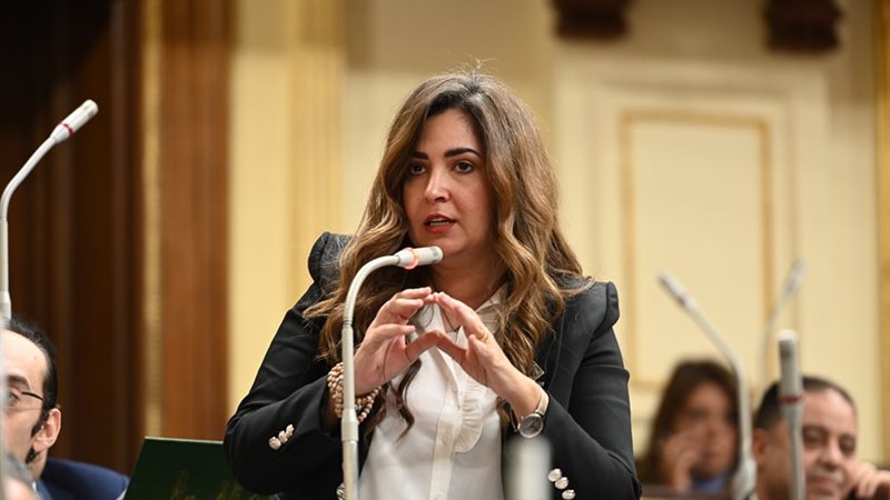 النائبة أميرة العادلي 