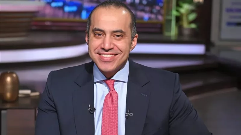 المستشار محمود فوزى