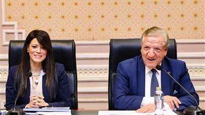 وزيرة التخطيط تكشف أمام النواب: 20 مليار جنيه لاستكمال مشروع التأمين الصحي الشامل