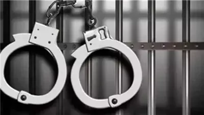 المؤبد لقاتل شقيقه داخل مزرعة مواشي بقرية طنيخ بنبروه في الدقهلية